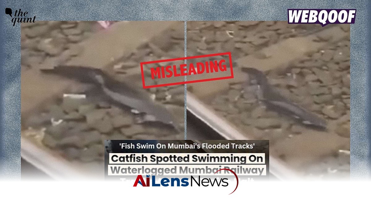 Old Video of Fish Swimming in Mumbai’s Flooded Railway Tracks Misrepresented as Recent