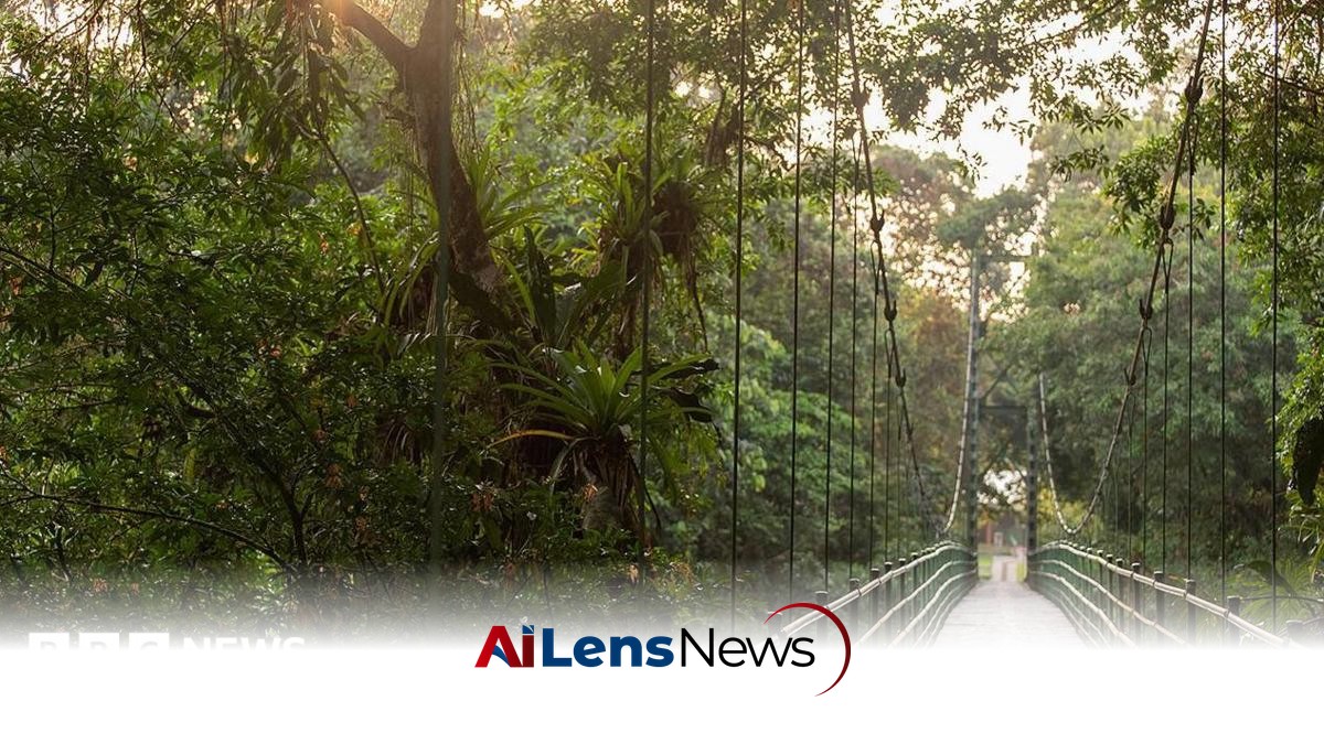 Researchers Find Millions More Insect Species