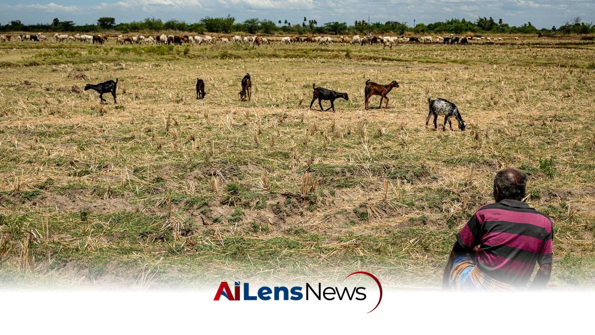 Poor monsoon and no Cauvery water: distress in Tamil Nadu’s delta region