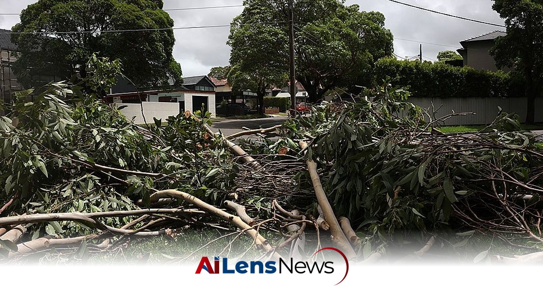 Severe Storm Devastates Bokakhat Co-District, Causing Widespread Damage