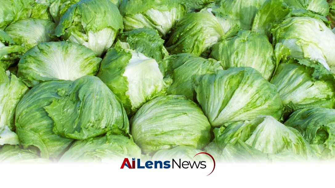 Taylor Farms Recalls Iceberg Lettuce Amid Cyclospora Outbreak