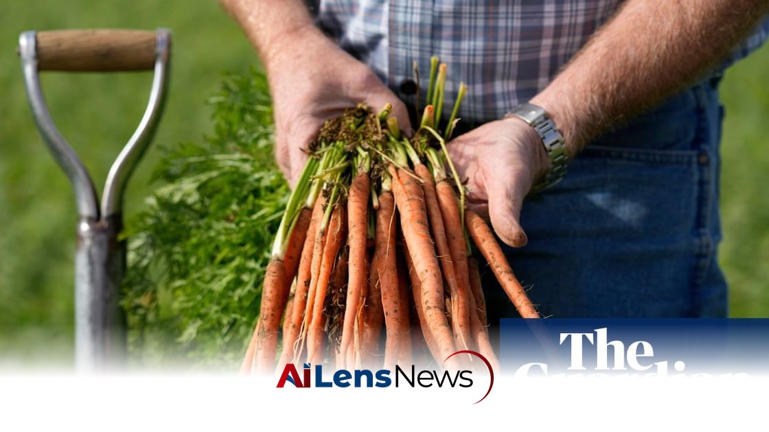 Regenerative Agriculture: A Solution to Declining Nutrient Levels in Crops