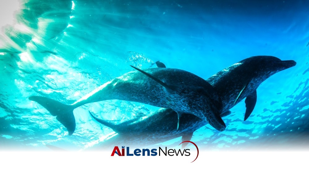 PBS, BBC Set New ‘Nova’ Evolution Science Series Tracing ‘The Epic Journey of Life’