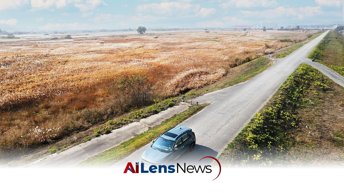 Step-by-Step Guide to Obtaining an International Driving Licence in the UAE