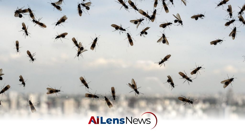Have you heard of Flying Ant Day?