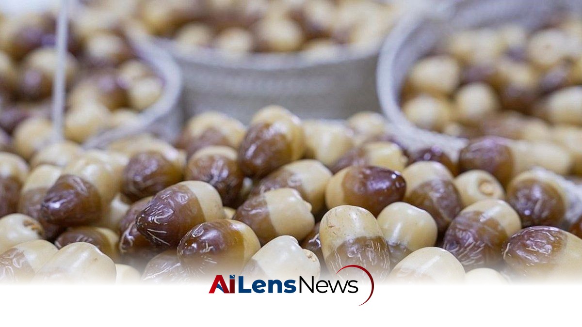 Al Ain Launches First Rutab Festival to Celebrate Date Heritage and Support Farmers
