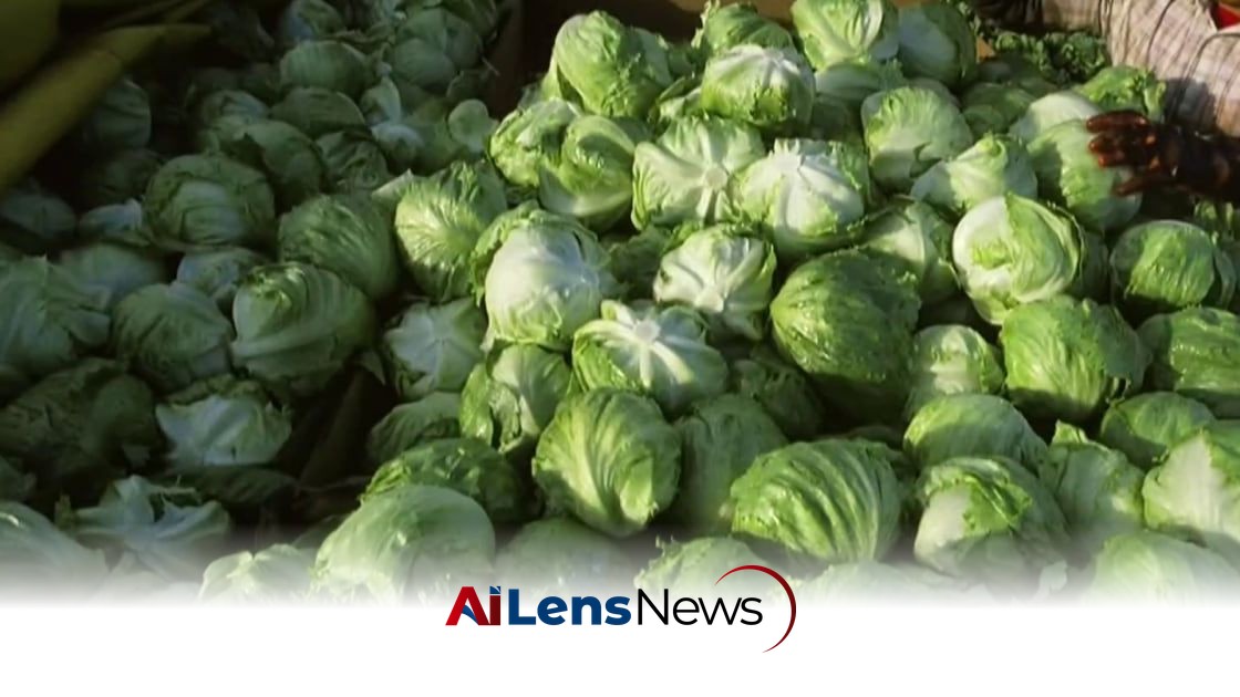 FDA Investigates Iceberg Lettuce Supplier Linked to Cyclosporiasis Outbreak