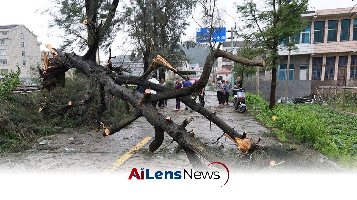 Typhoon Bavi Hits China, Downgraded to Severe Tropical Storm