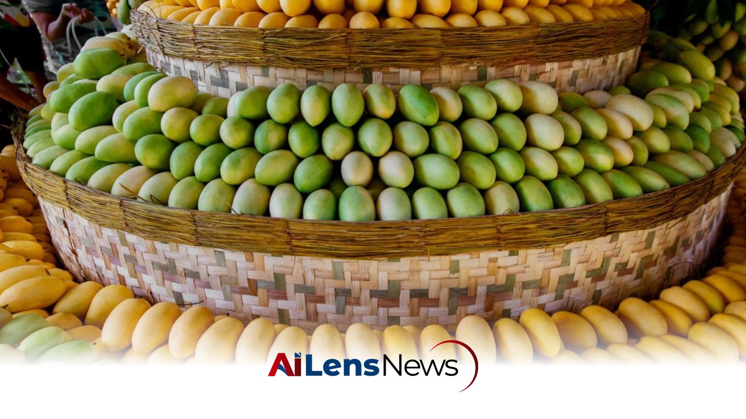 Souq Waqif Extends Pakistani Mango Exhibition Until July 20, 2026