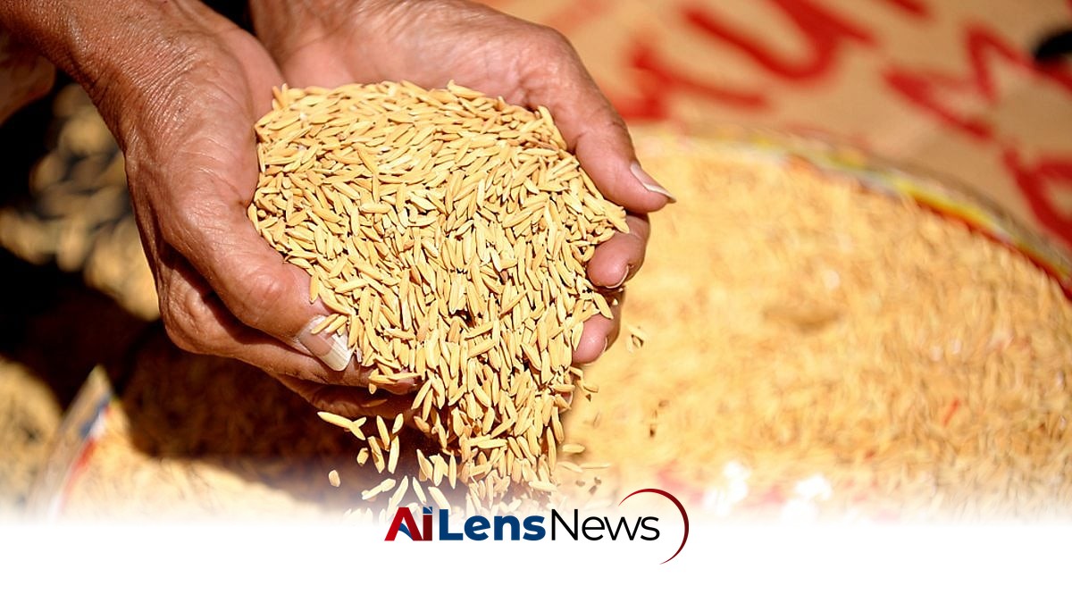 Allegations Arise Over Assam's Paddy Procurement Failures