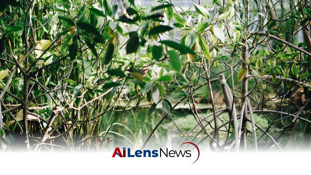 Andhra Achieves Second Rank in National Mangrove Restoration Efforts