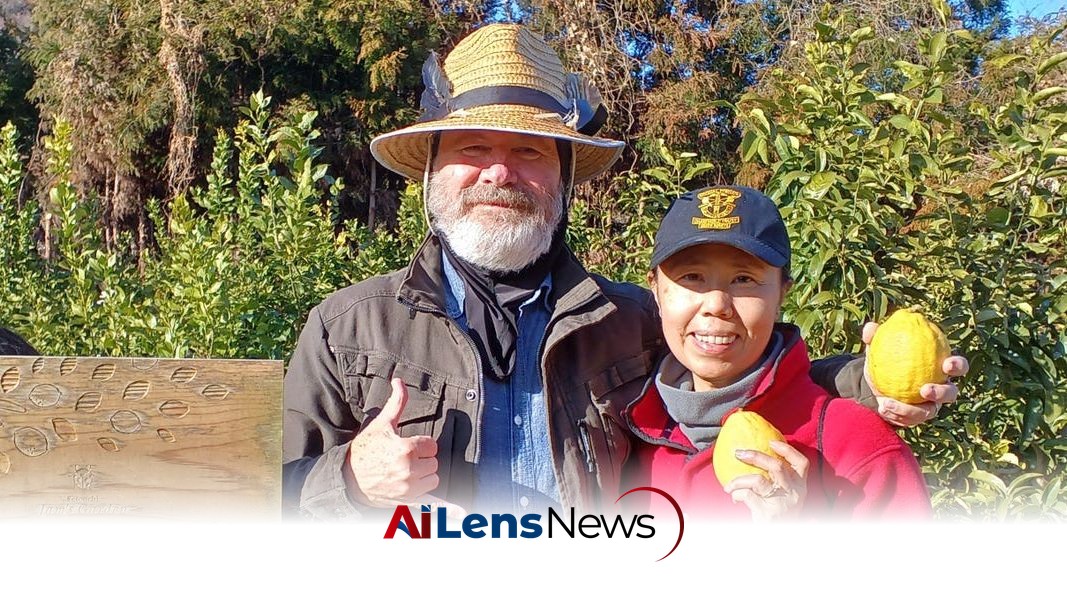 From Hawaii to Rural Japan: A Couple's Journey to Affordable Living