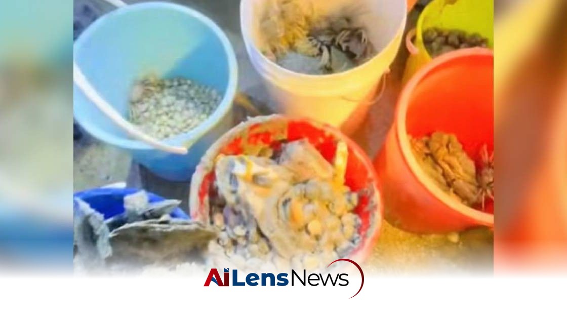 NParks Urges Responsible Interaction with Marine Wildlife After Foraging Incident at Changi