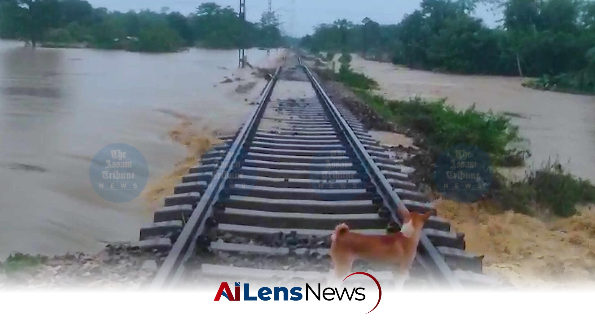 Northeast Frontier Railway Races to Restore Upper Assam Rail Links Amid Flood Crisis