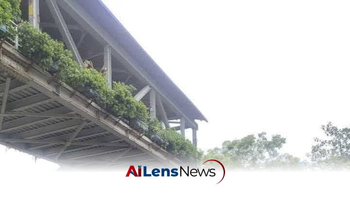 Bangladesh Students Protest Exam Disruptions Amid Flooding Crisis
