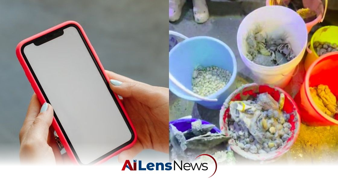 Singapore's Marine Foraging Chat Group Disbands Amid Backlash Over Sustainability Concerns