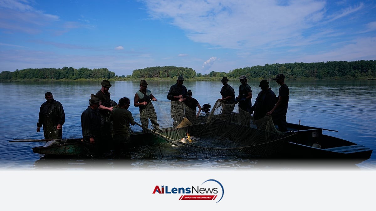 Europe's Summer Drought Endangers Fish Populations Across the Continent Europe's Summer Drought Endangers Fish Populations Across the Continent