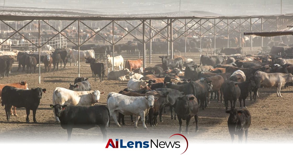 Trump Administration Rejects UN Farm Declaration Over Gender References
