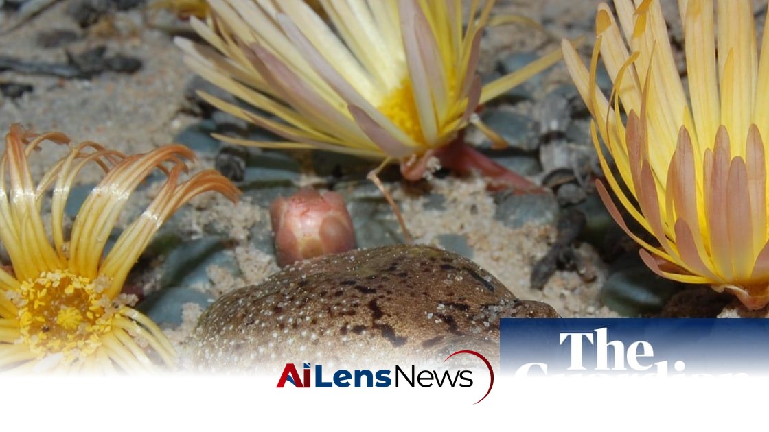 Species’ ingenious survival strategies no match for human destruction, red list reveals
