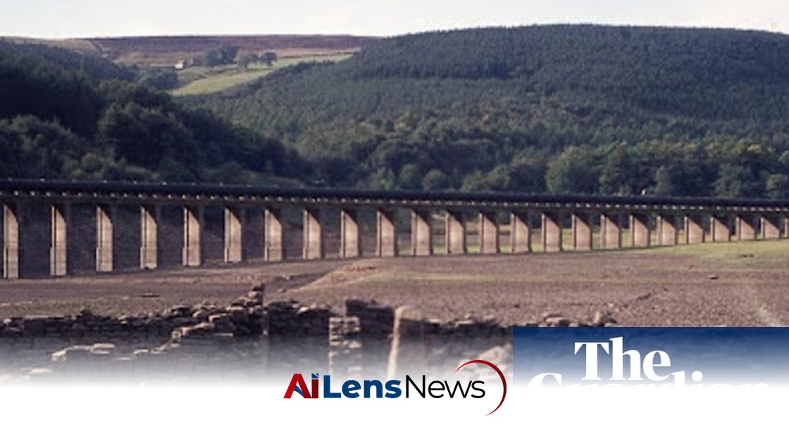 Empty reservoirs, ladybirds and sunstroke: remembering the UK heatwave of 1976