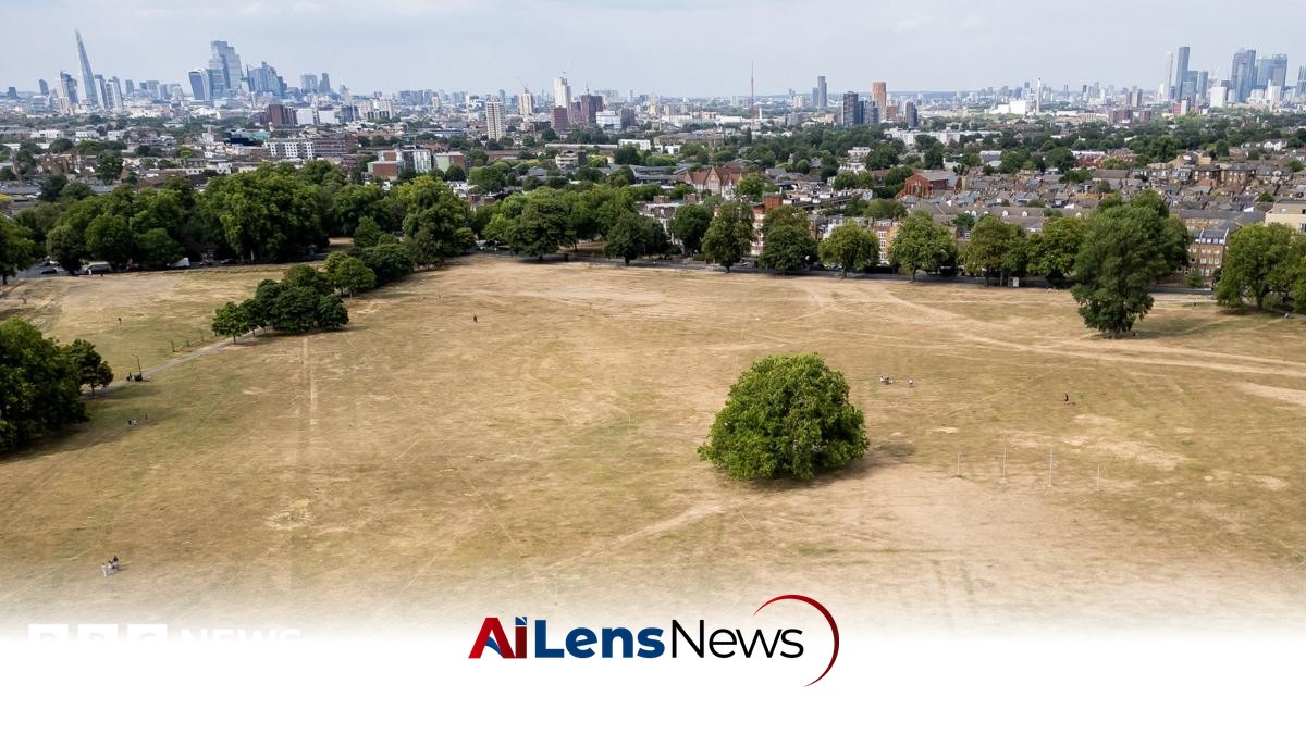 Drought Declared Across Over Half of England Amid Extreme Weather