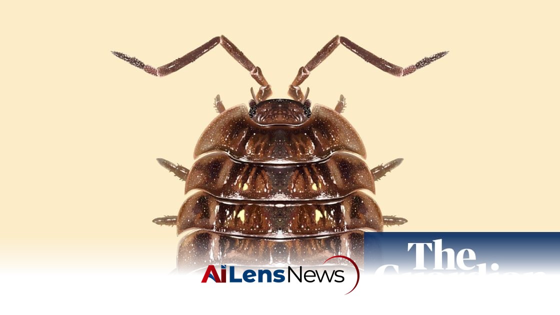 The Remarkable Role of Woodlice in Our Ecosystem