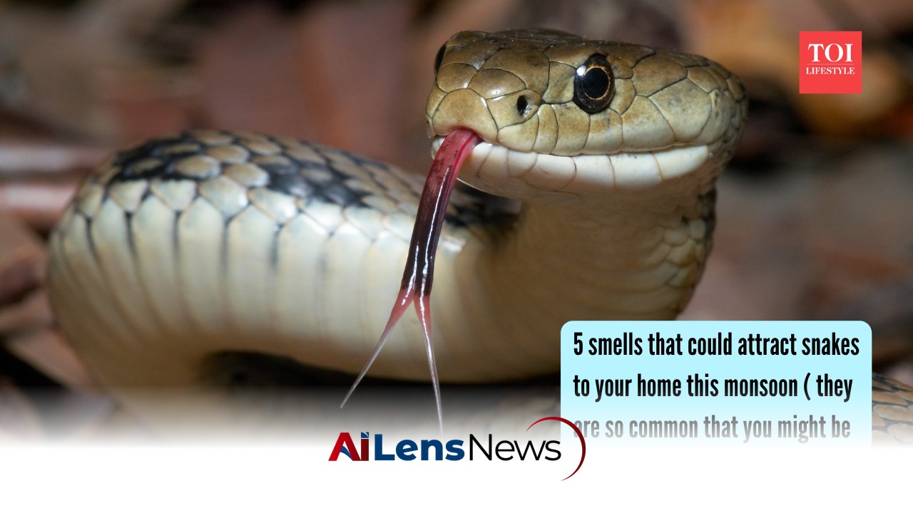 5 Common Smells That Attract Snakes to Your Home During Monsoon