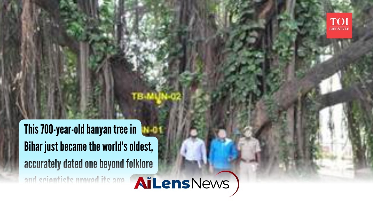This 700-Year-Old Banyan Tree in Bihar Just Became the World's Oldest