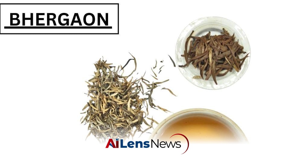 Assam Tea Industry Shifts Focus to Rare Yellow Tea for Premium Markets