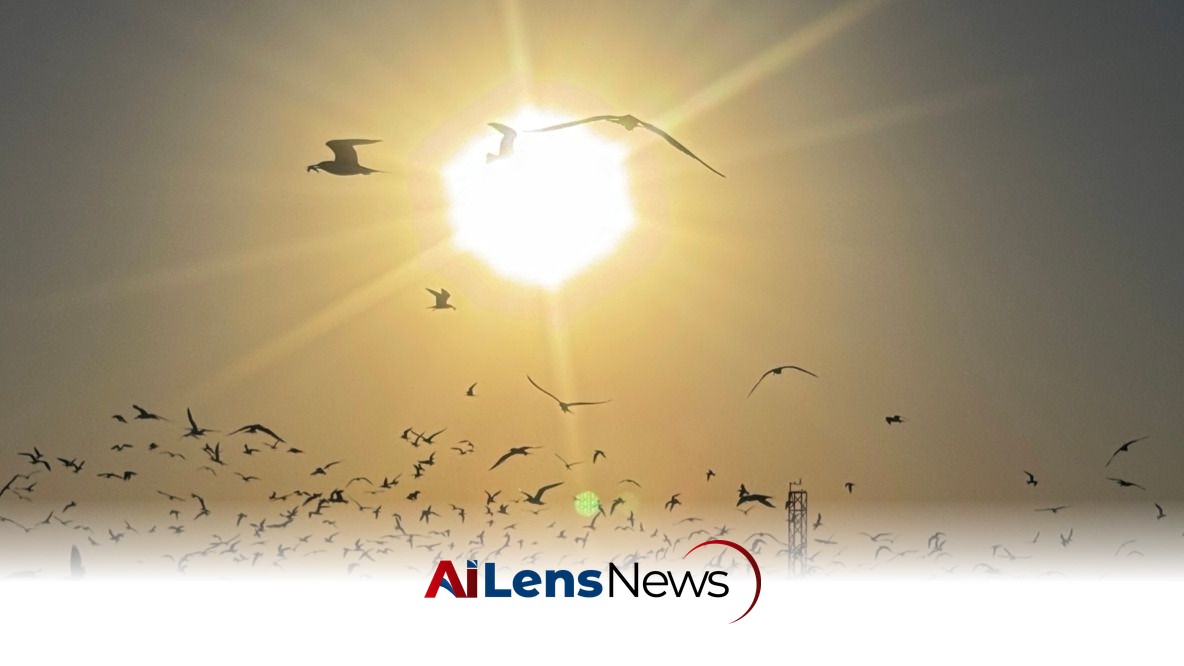 Kuwait Faces Extreme Heat and Dusty Conditions Until Tuesday