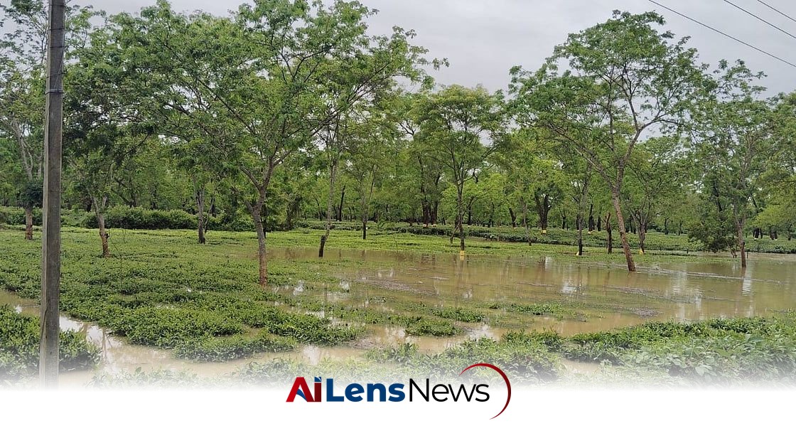 Assam Floods Claim 10 Lives as Over 3.6 Lakh Affected Across 16 Districts