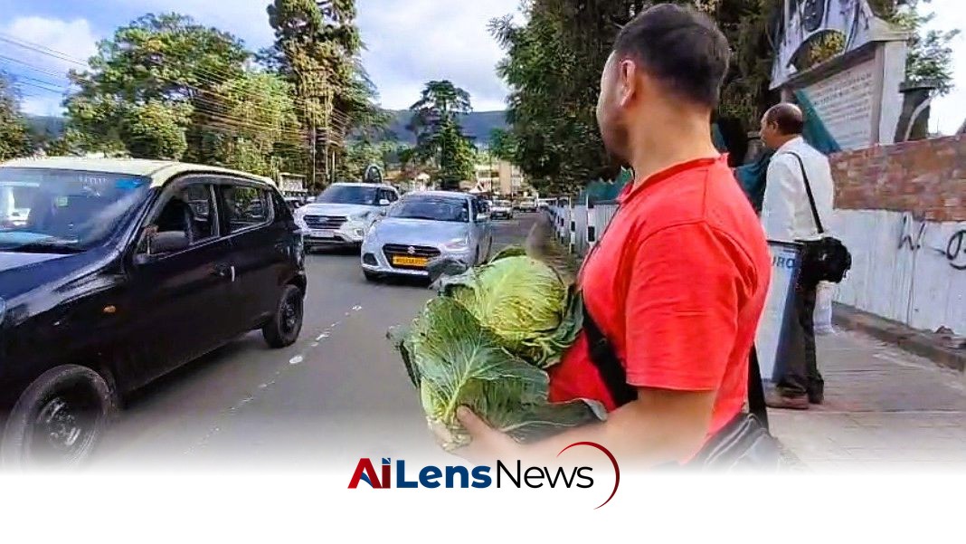 Farmers Protest Price Crash by Distributing Cabbages for Free