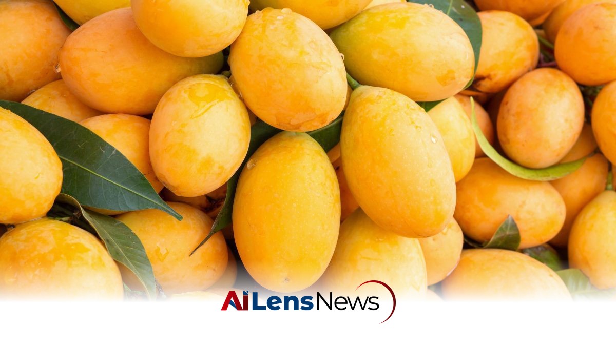 Hamba Pakistani Mango Exhibition Opens at Souq Waqif