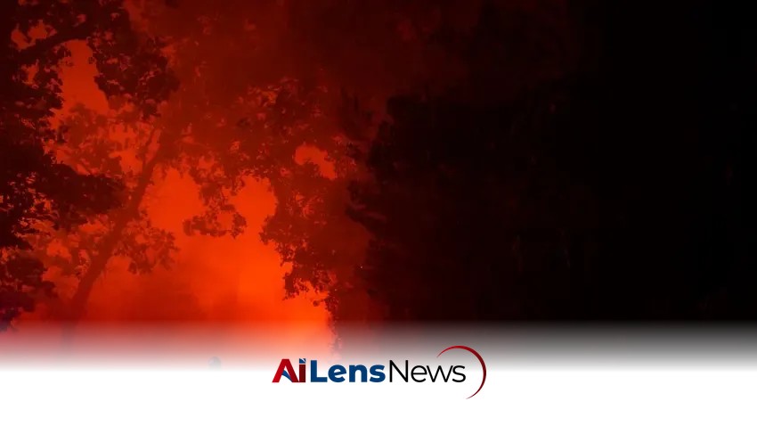 Understanding the Causes Behind France's Severe Wildfires