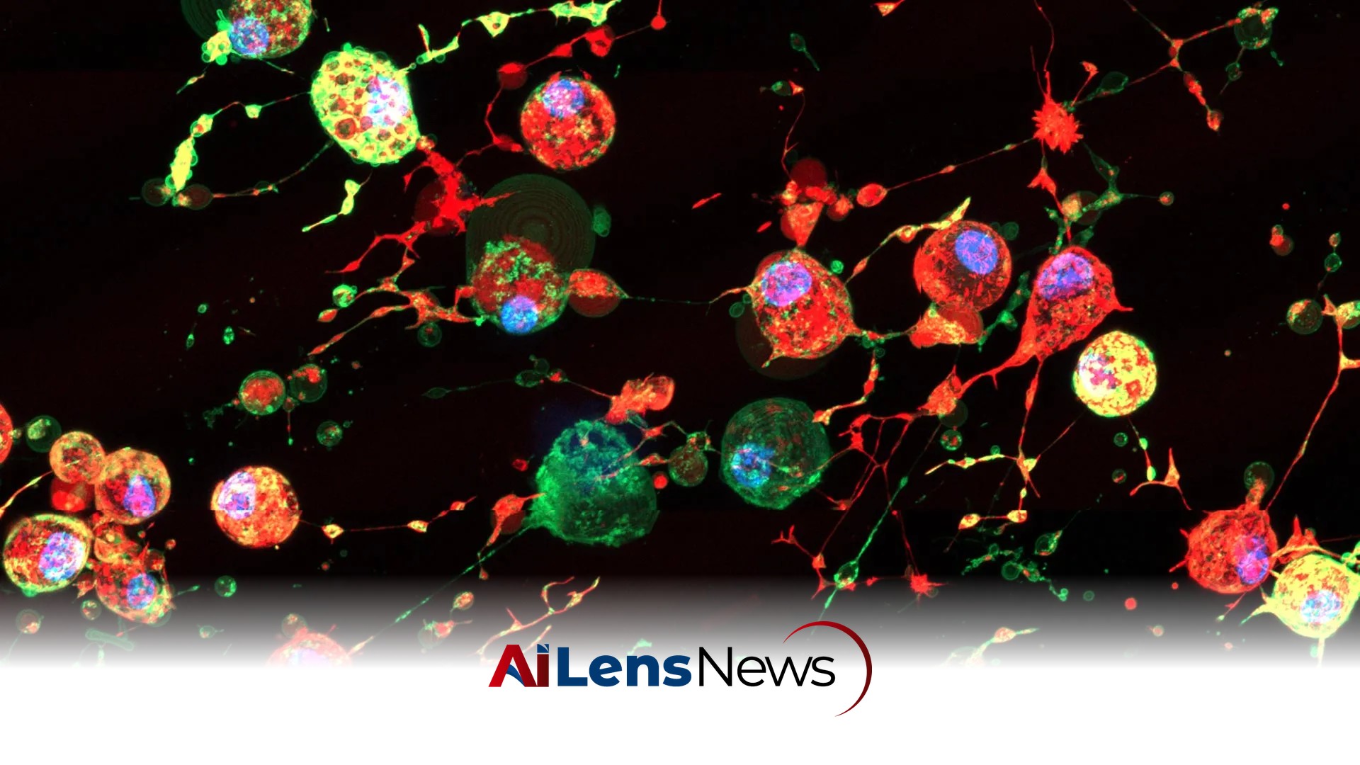 Scientists Discover Hidden “Footprints of Death” That May Help Viruses Spread