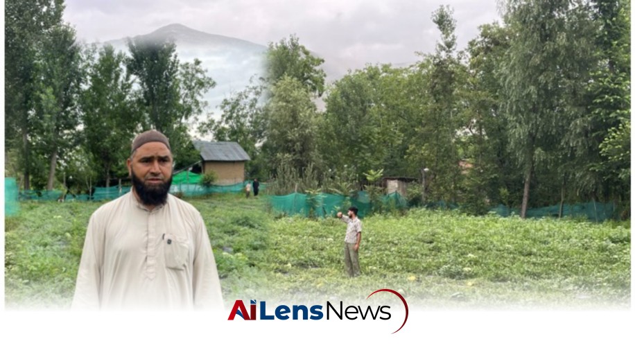 Watermelon Farming Transforms Anantnag’s Pashtun Village Identity