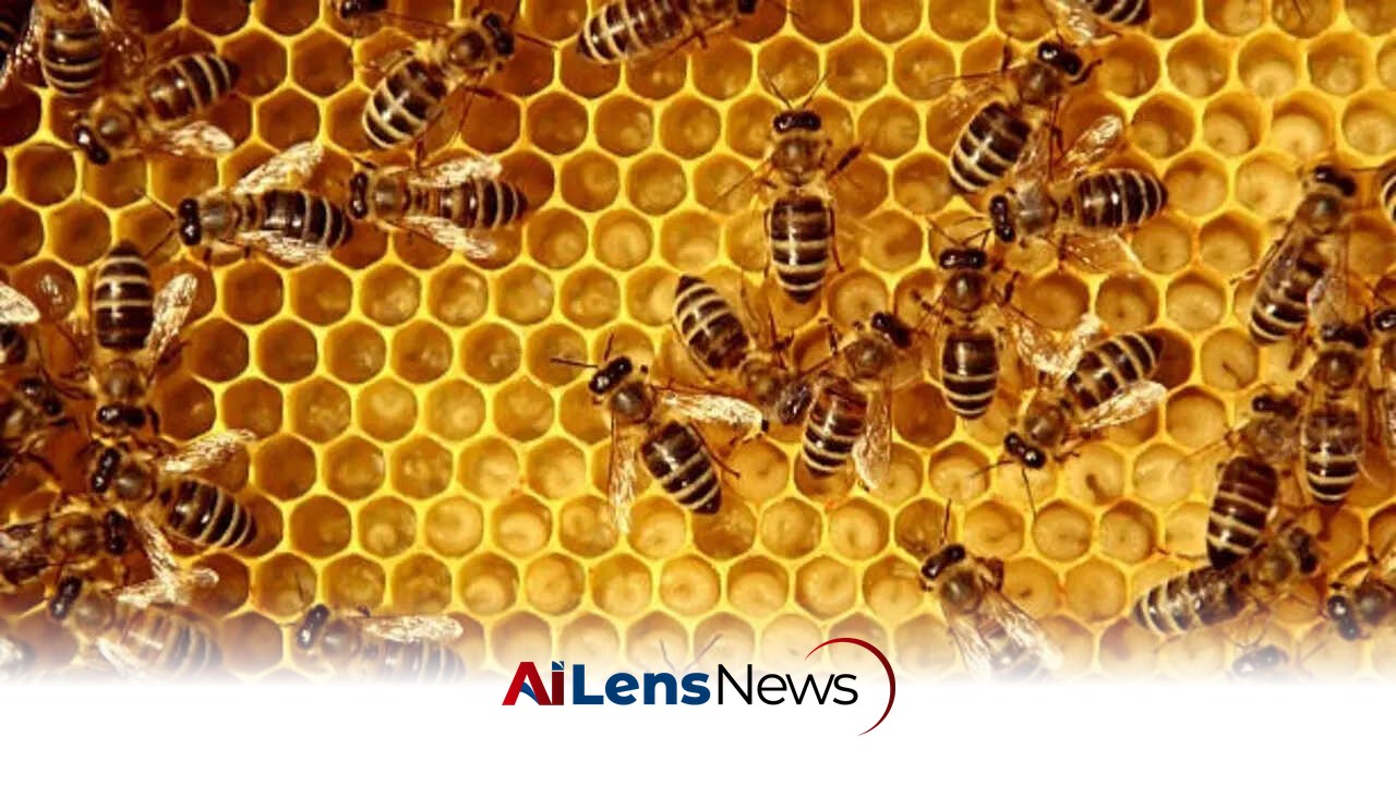 7 Animals that eat bees without letting stings stop them