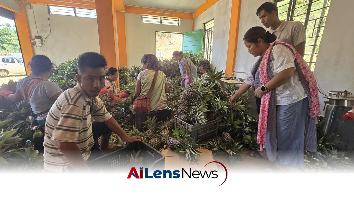 Roadside Vendors Turned Exporters: Meghalaya’s ‘Numbered’ Farmers Reap Fruits of Labour