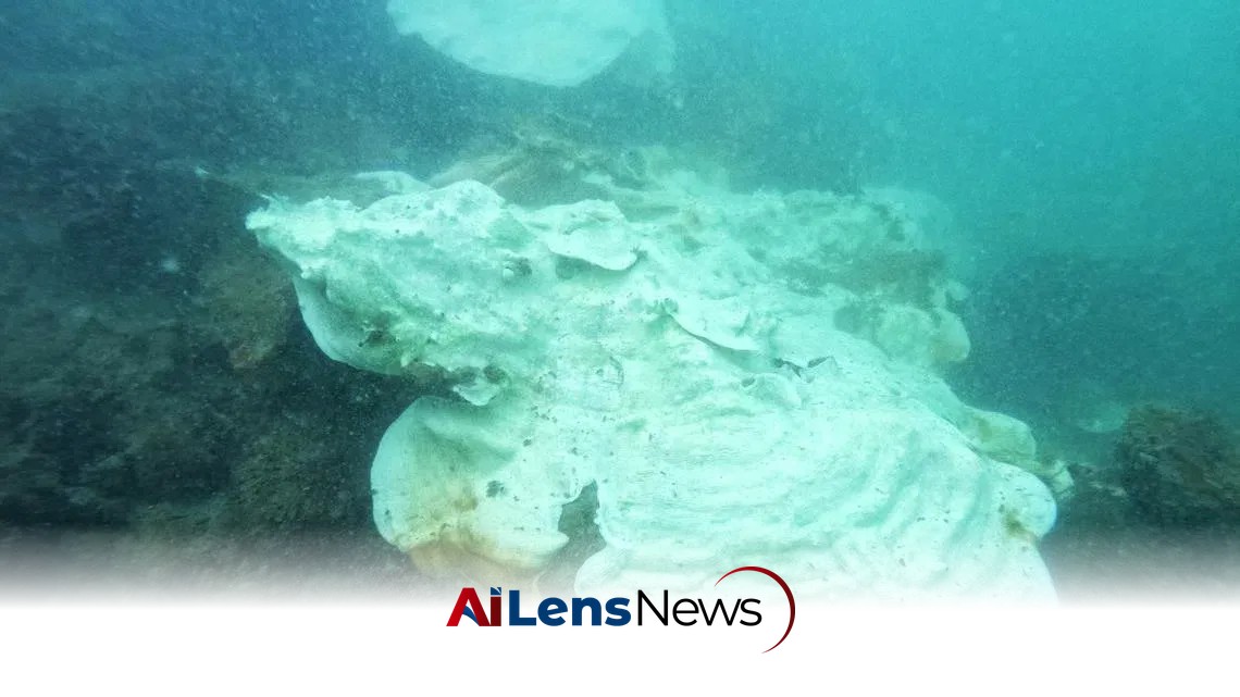 El Niño Threatens Singapore's Coral Reefs in 2027