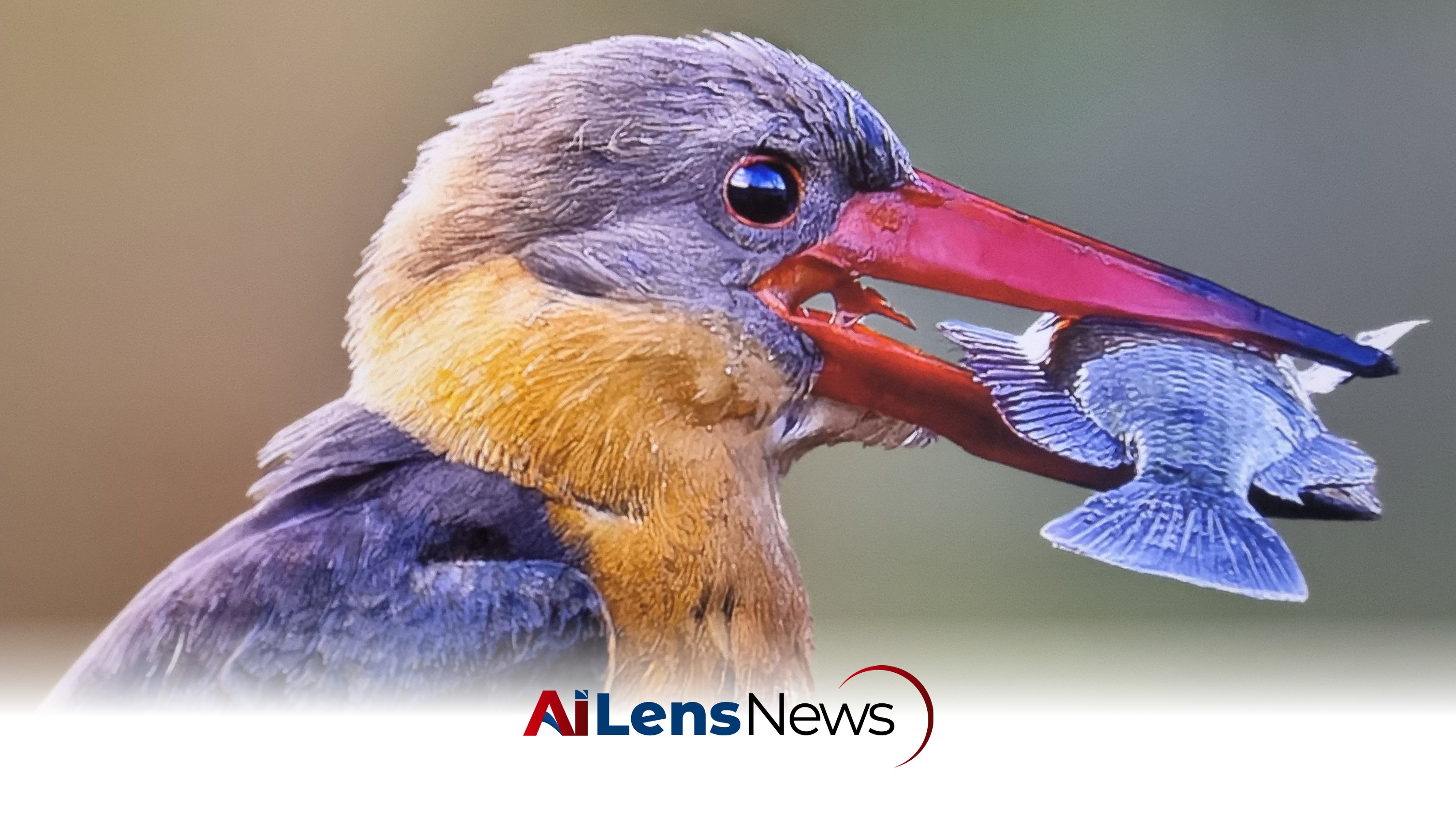 Photography for a cause: How wildlife photography inspires support for nature