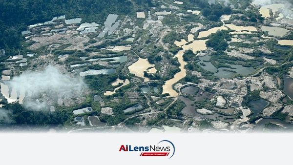 Preserving the Amazon's 'Flying Rivers' Essential for South America's Ecosystem