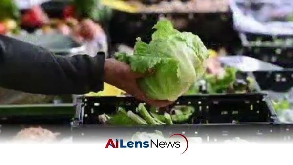 Cyclospora Outbreak Triggers Lettuce Sales Decline and Industry Response