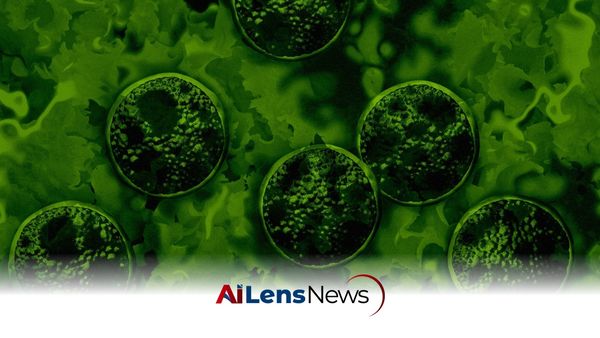 CDC Reports Expansion of Cyclosporiasis Outbreak Linked to Lettuce